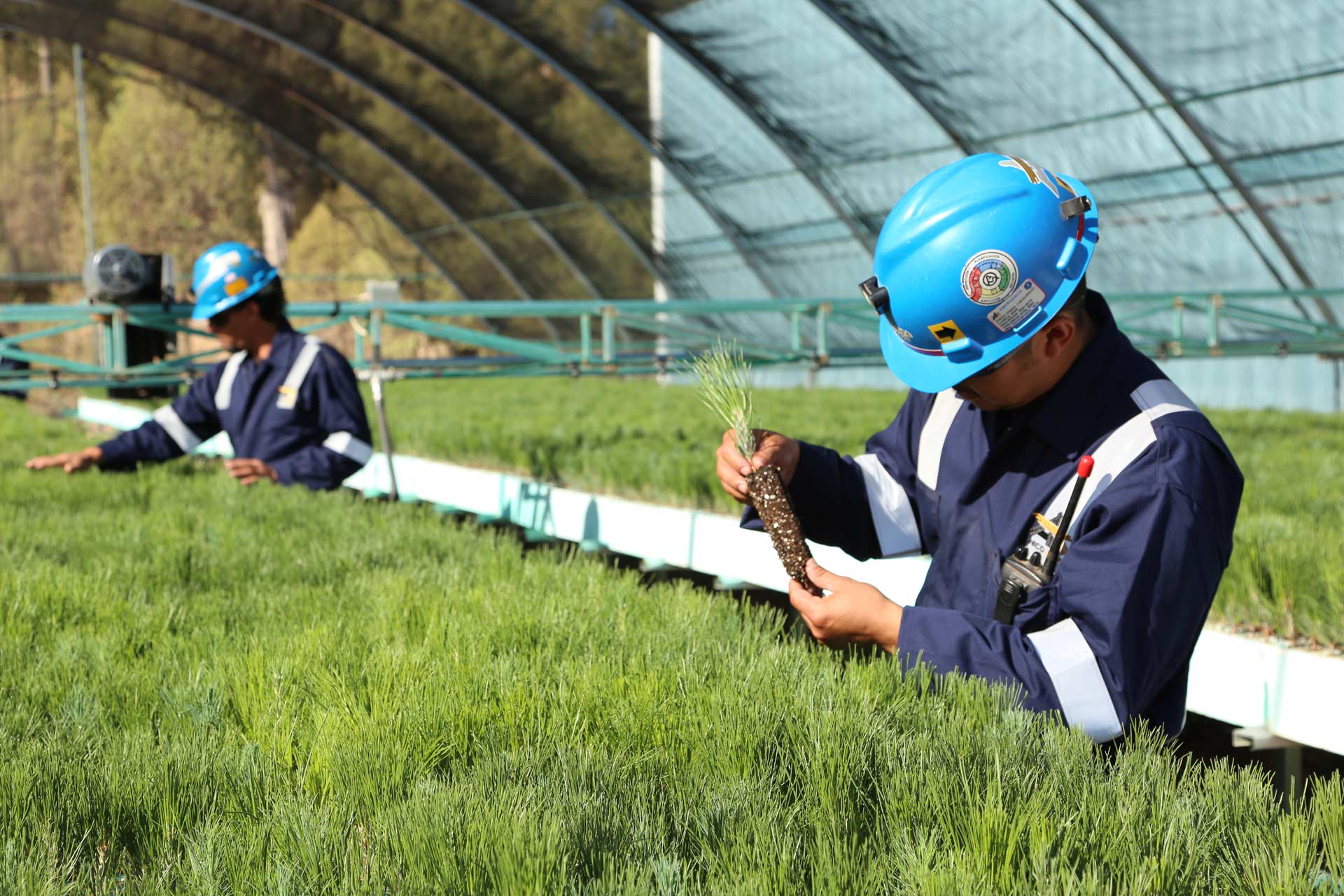 Agnico Eagle launches 2016 Sustainable Development Report