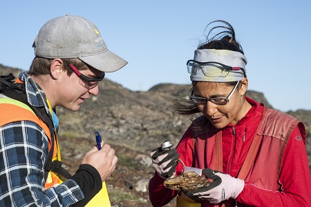 explorationmineralreservesmineralresources