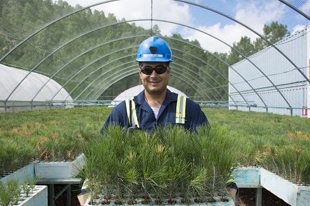 careerssustainability